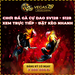 Vegas79 đá gà online