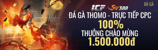 app đá gà thomo Vegas79 thưởng 100% cho thành viên mới